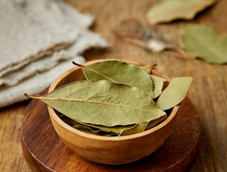 Bay Leaf