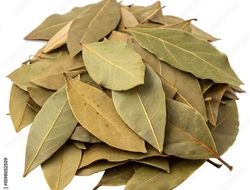 Bay Leaf