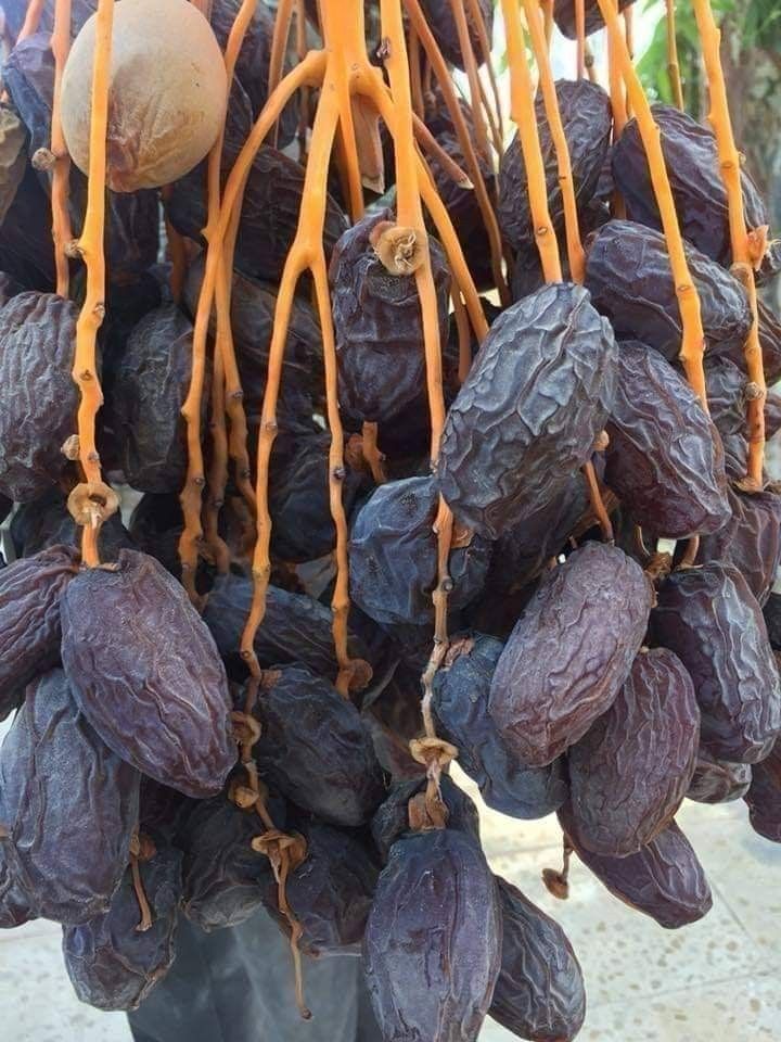Wet Dates